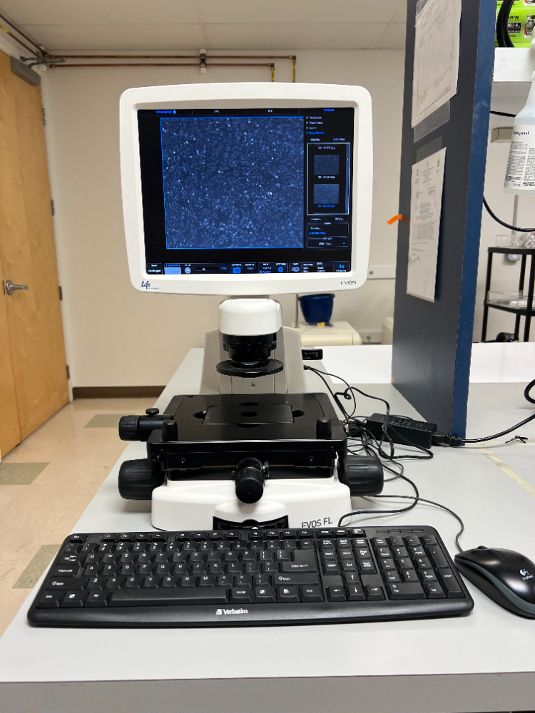 Image of Life Technologies EVOS FL Fluorescence Microscope